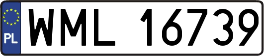 WML16739
