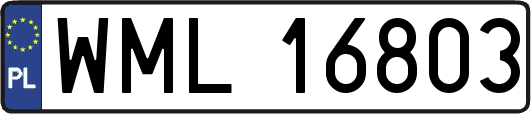 WML16803