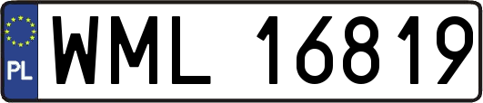WML16819