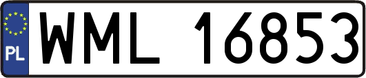 WML16853