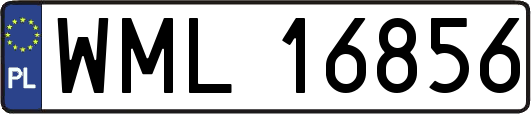 WML16856