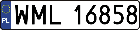 WML16858