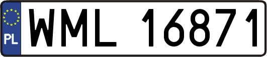 WML16871
