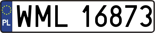 WML16873