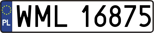 WML16875