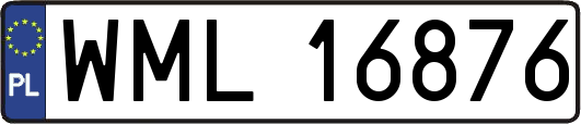 WML16876