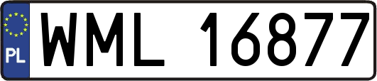 WML16877