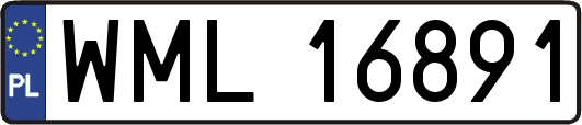 WML16891