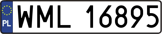 WML16895