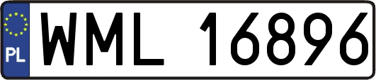 WML16896