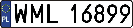 WML16899