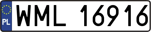 WML16916