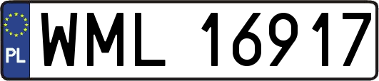 WML16917