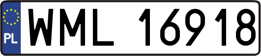 WML16918