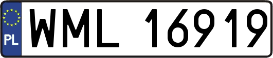 WML16919