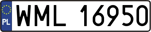 WML16950