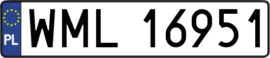 WML16951