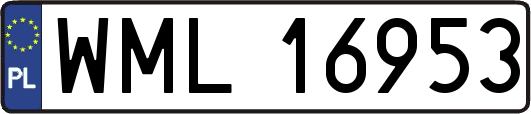 WML16953