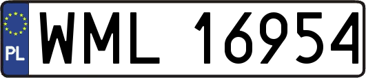 WML16954