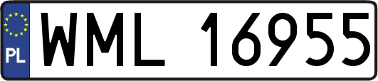 WML16955