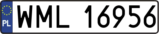 WML16956