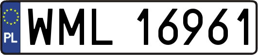 WML16961