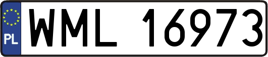 WML16973