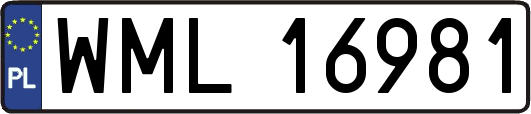 WML16981