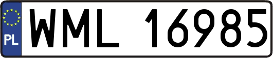 WML16985