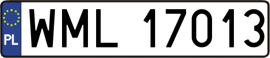 WML17013