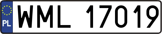 WML17019