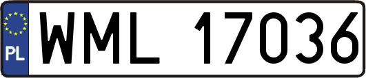 WML17036