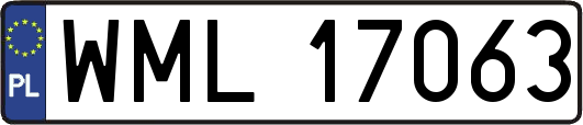 WML17063