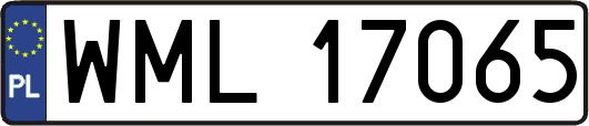 WML17065