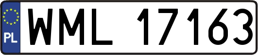 WML17163