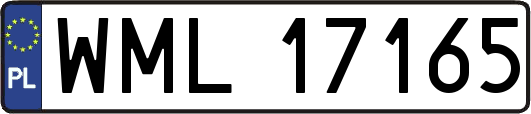 WML17165