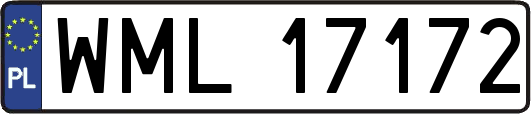 WML17172