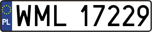 WML17229