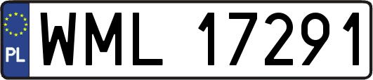 WML17291