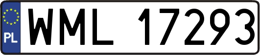 WML17293