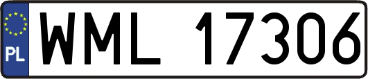WML17306