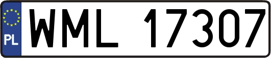 WML17307