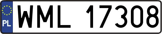 WML17308