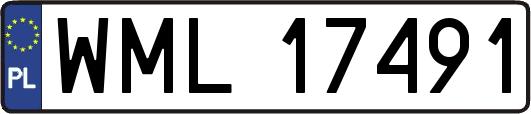 WML17491