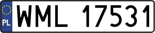 WML17531