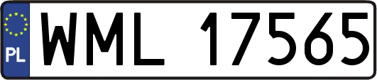 WML17565