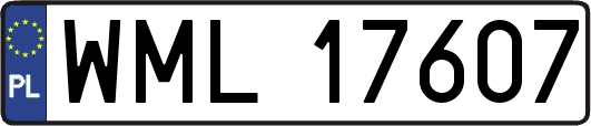 WML17607