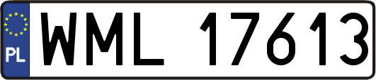 WML17613