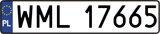 WML17665