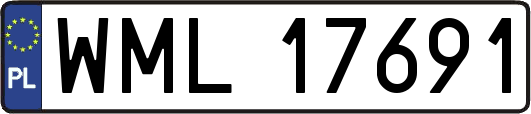 WML17691